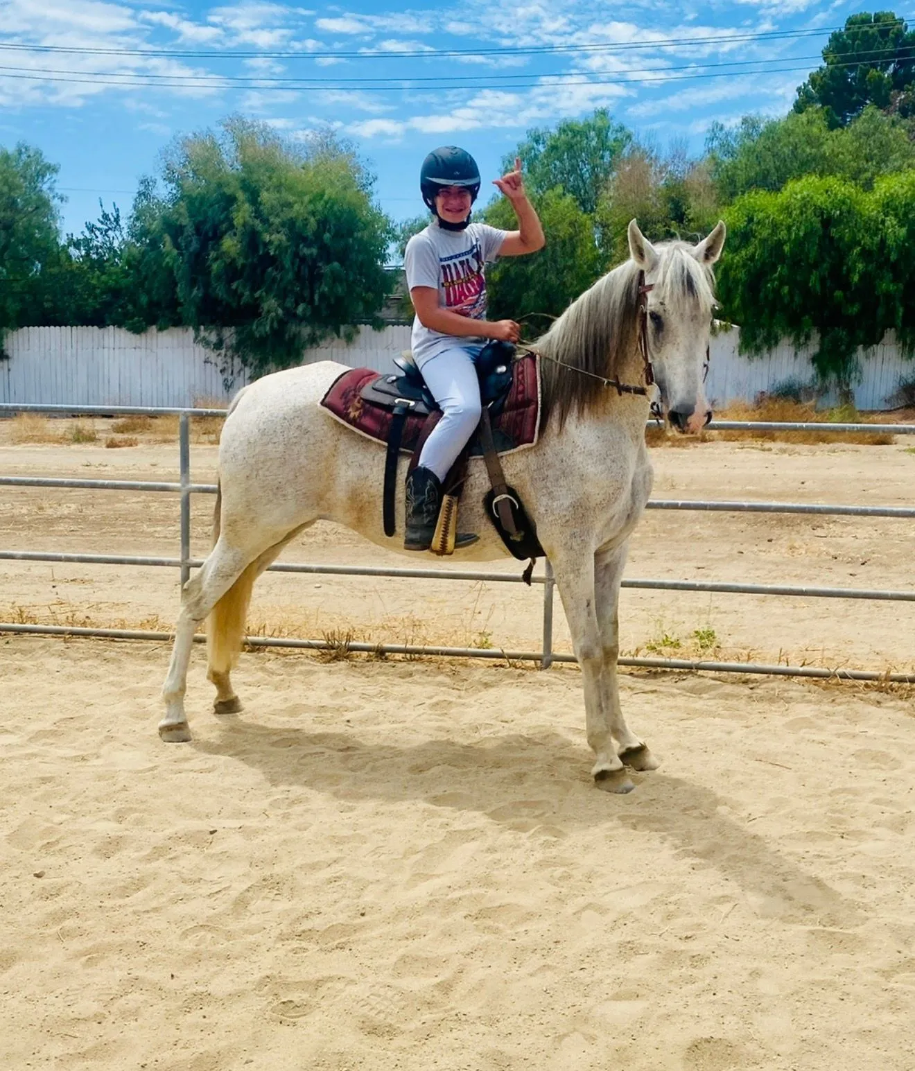 A rider seated on a white horse during an outdoor EEF lesson.